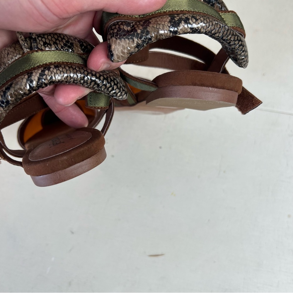 Jeffrey Campbell- Enrich Python Embossed Pointed … - image 6